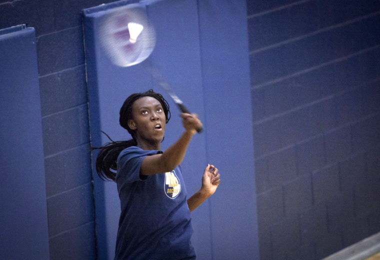 DV Badminton